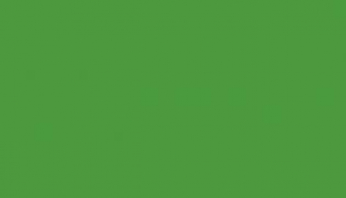 000 - spray color  green