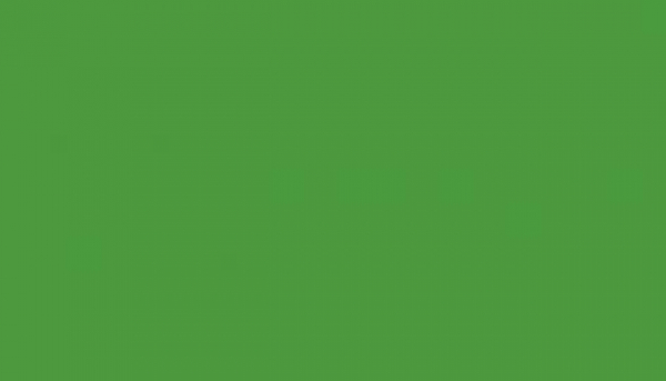 000 - spray color  green - Kopie