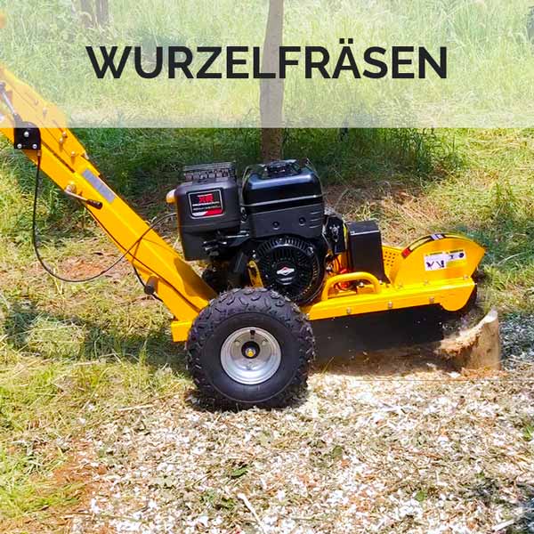 wurzelfreasen